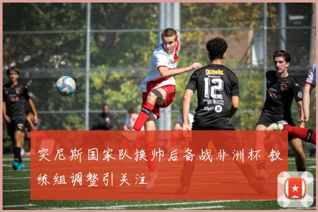 突尼斯国家队换帅后备战非洲杯 教练组调整引关注